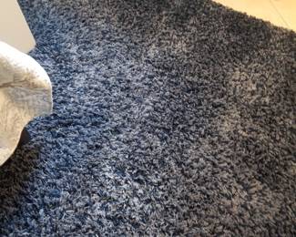 Navy area rug