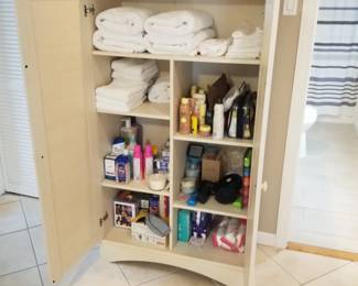 Tall storage cupboard - interior view