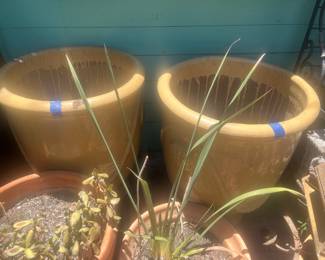 Yellow Planters