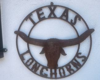 Longhorn Wall Art