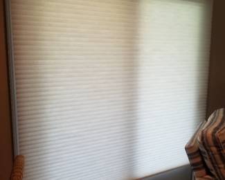 HunterDouglas blinds