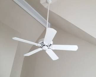 Ceiling fan