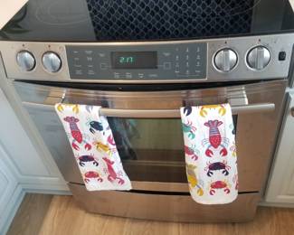 JennAir electric range