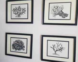 Coral art