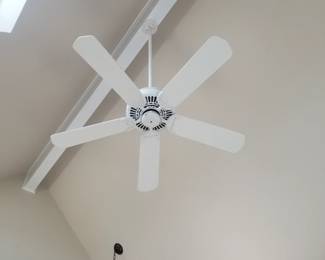 Ceiling fan