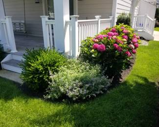 Lanscaping