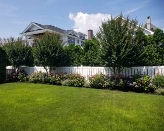 Crape myrtle; roses & hydrangeas