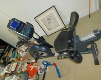Schwinn 270 Recumbant Bike
