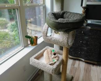 Large Cat Stand