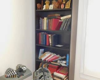 Tall Mahogany Bookcase