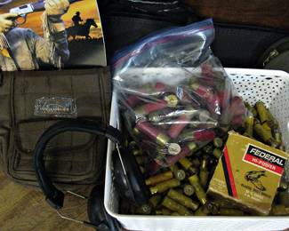 Shotgun Shells 12 Gauge and 20