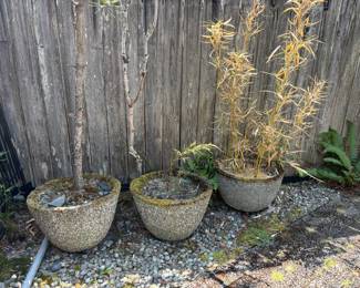 Exposed Aggregate Concrete Planters – Potted Tree, Potted Bamboo