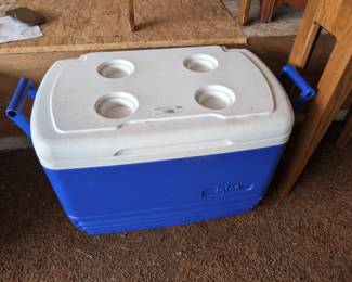 Igloo Cooler