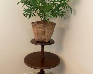 Side table plant