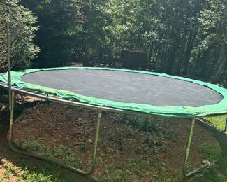 Trampoline $50, in the backyard of the house