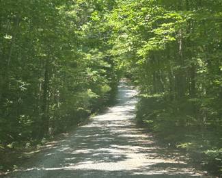 Ridgetop Rd is a 1/2 mile long narrow gravel road