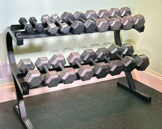 (19pc) DUMBBELLS & RACK | Set of dumbbells and Powertec rack including: 5lbs-50lbs - h. 36 x w. 50 x d. 24 in
