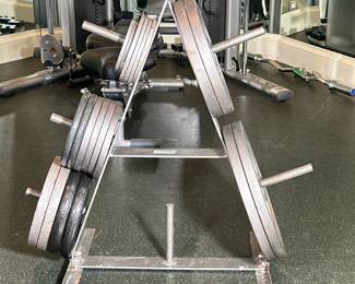 (20pc) MIXED WEIGHT PLATES | Various free weight plates including: 2 2.5lbs, 4 5lbs, 6 10lbs, 4 25lbs, 2 35lbs, 2 45lbs plates - dia. 18 in (45lbs)