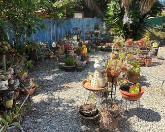 Succulents, bird baths, and pots