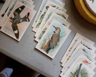 Victorian trading cards Arm & Hammer Bird
By Luis Gu