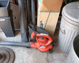 Blower vac with various attachments