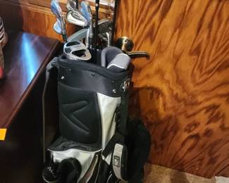 Hippo Hybrid 12 club with bag