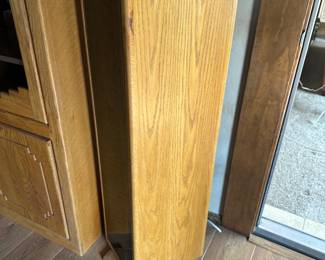 DVD storage cabinet