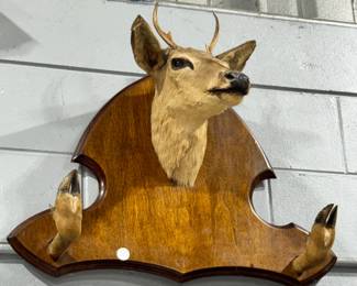 Deer Head Rack Orlando