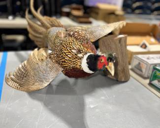 Stuffed Pheasant Orlando