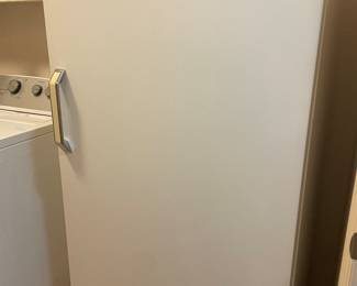 Upright Freezer