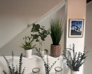 Decor plants