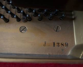 INSIDE PIANO