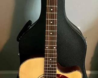 05 124 Washburn Guitar Case