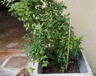 Concrete planters