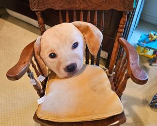 Puppy pillow...