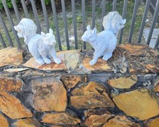 Squirrels