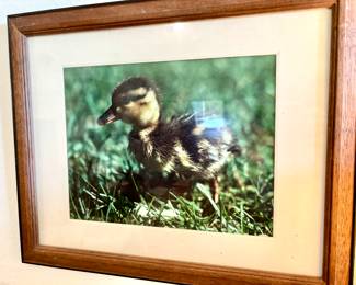 Wildlife art
