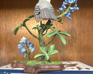 Birds of Texas