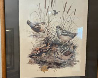 "AMERICAN WOODCOCK" by JAMES LOCKHART