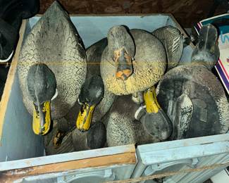 CARRY LITE MALLARD DECOYS