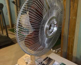 Galaxy 12" Oscillating Fan 