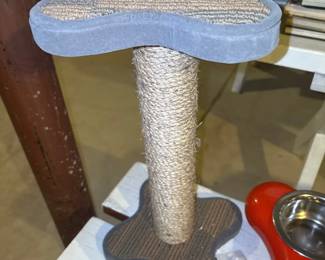 cat scratching post 