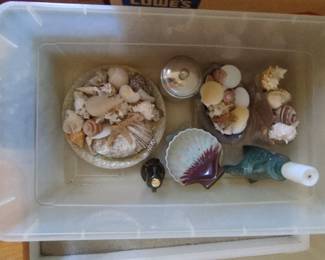 seashell decor 