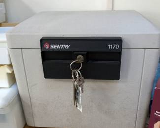 Sentry Safe 1170 Fire-Resistant Box Safe with Key Lock 