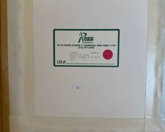 177Jul 09 2025 03 44pmmKUV