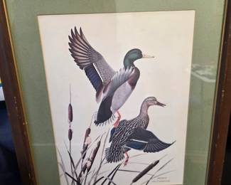 Wildlife Art Zimmerman