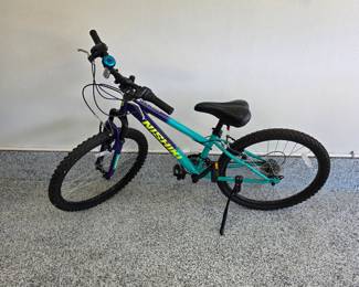 Nishiki Pueblo 24 mountain bike