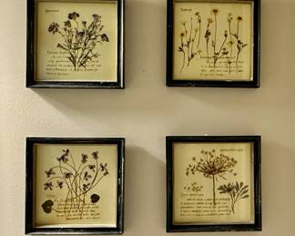 Birch Lane 6 Botanical Prints. $60 lot