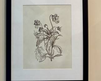 Birch Lane Line Art Flower Print $100
