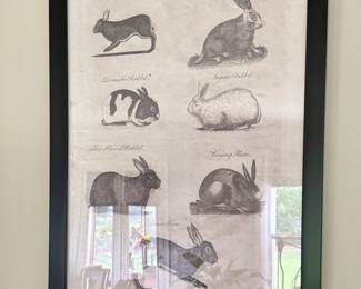 Birch Lane Rabbit Studt Framed Print $150